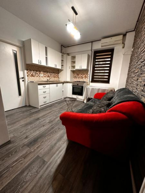 Cozy studio